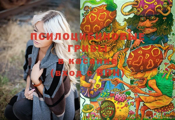 синтетический гашиш Елизово