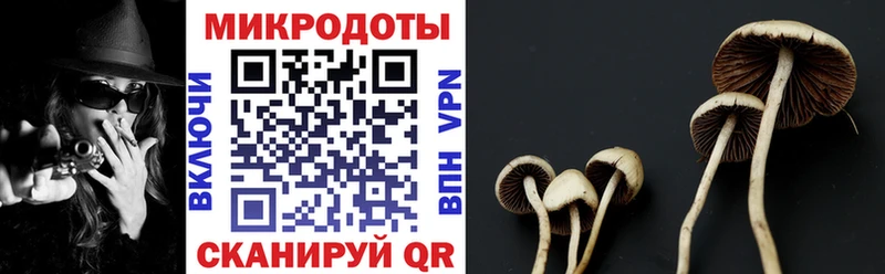 Купить  Боровичи  Псилоцибиновые грибы Psilocybine cubensis 